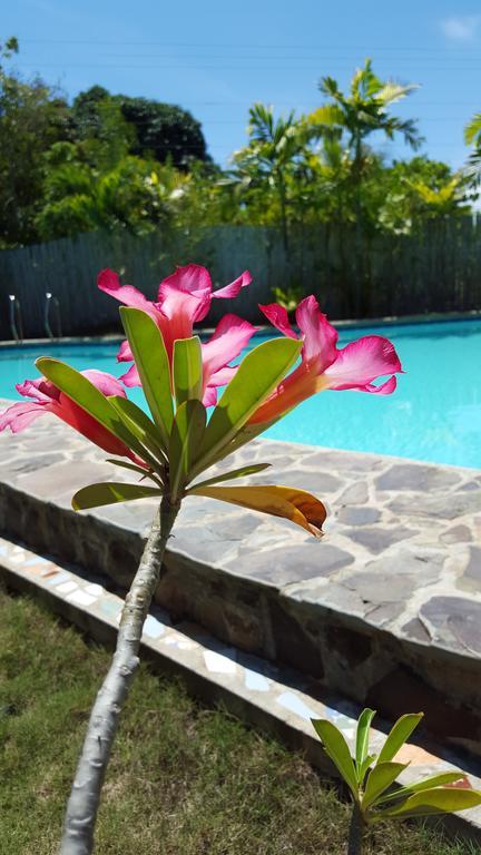 Villa Formosa Bohol Zewnętrze zdjęcie
